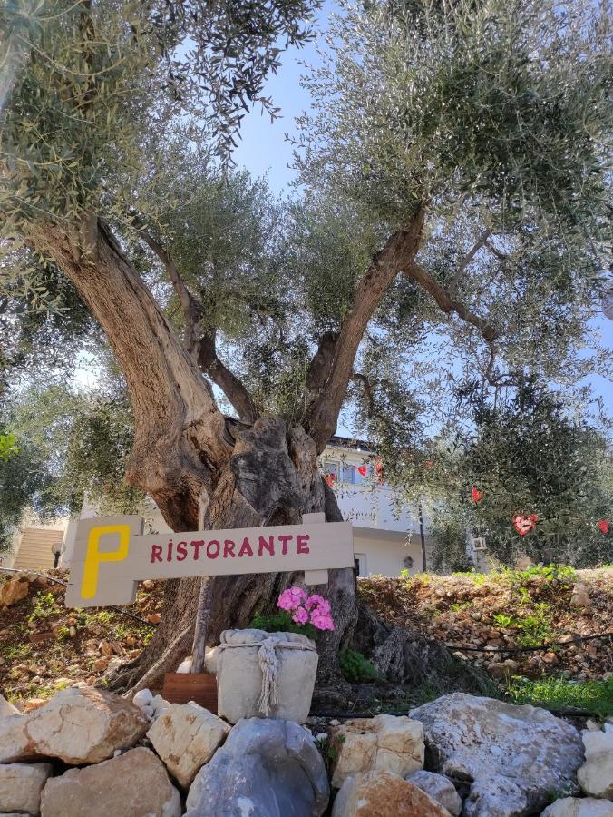 Agriturismo Passione Natura เวียสเต ภายนอก รูปภาพ